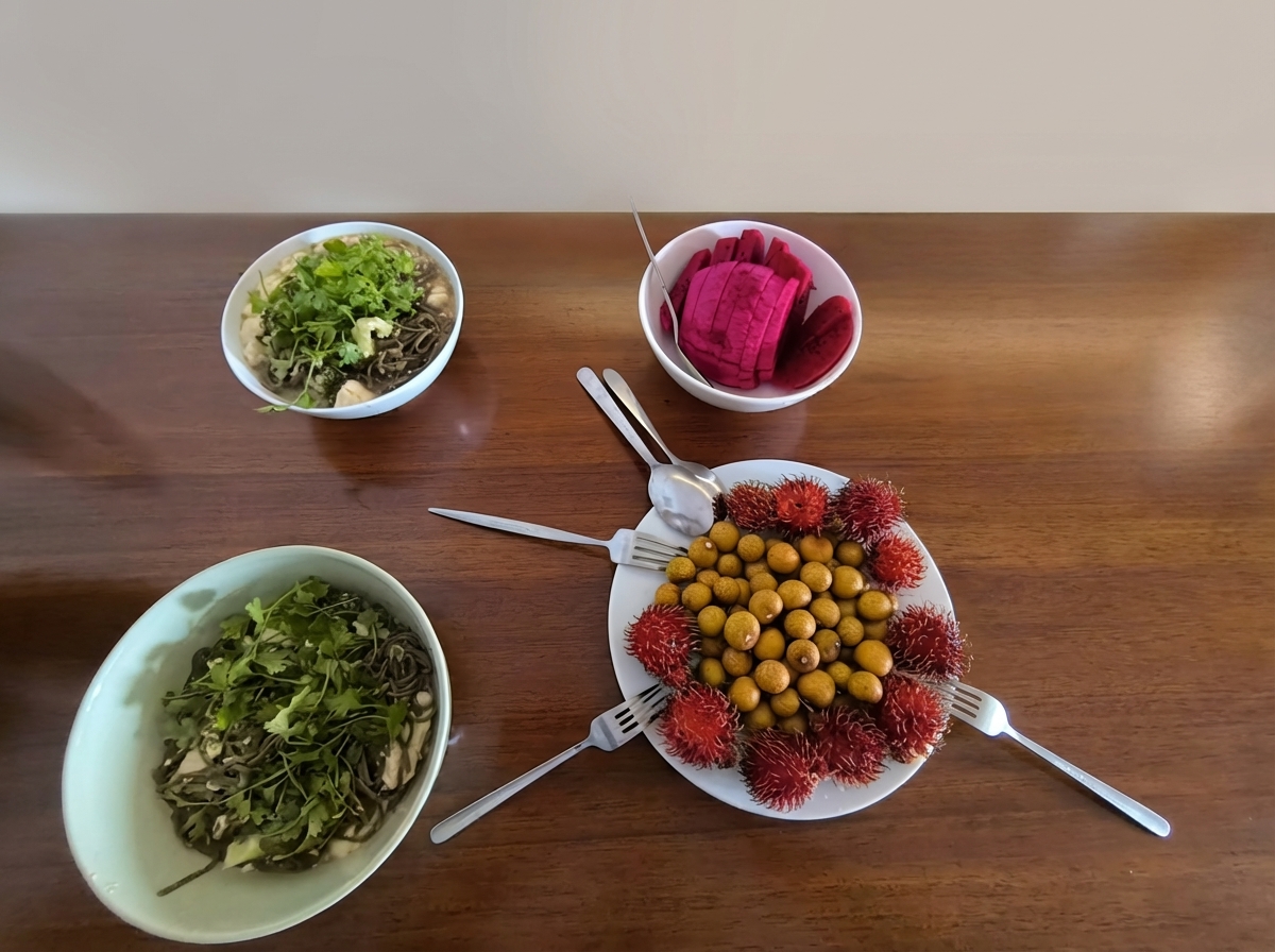 Why Your AIP Diet Isn’t Healing You: The Case for Ditching the Meat